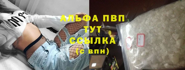 прущие грибы Гусь-Хрустальный