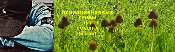 тгк Богданович