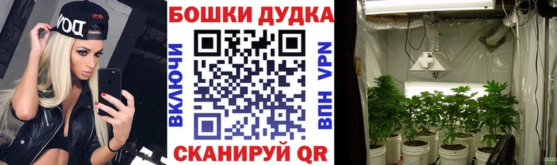 Шишки марихуана ГИДРОПОН  что такое наркотик  Свободный 